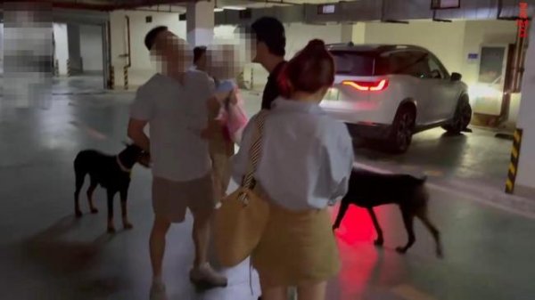 配资炒股平台配资 遛狗没拴绳引口角 路人扬言打死狗 双方激烈争执